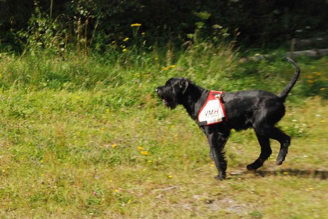 2009-08-23_ntb_6898