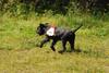 2009-08-23_ntb_6899