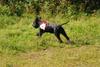 2009-08-23_ntb_6900