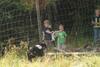 2009-08-23_ntb_6903