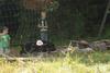 2009-08-23_ntb_6907
