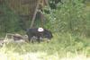 2009-08-23_ntb_6908