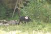 2009-08-23_ntb_6909