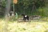 2009-08-23_ntb_6911