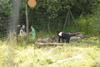 2009-08-23_ntb_6912