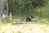 2009-08-23_ntb_6913