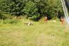 2009-08-23_ntb_6928