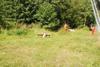 2009-08-23_ntb_6929