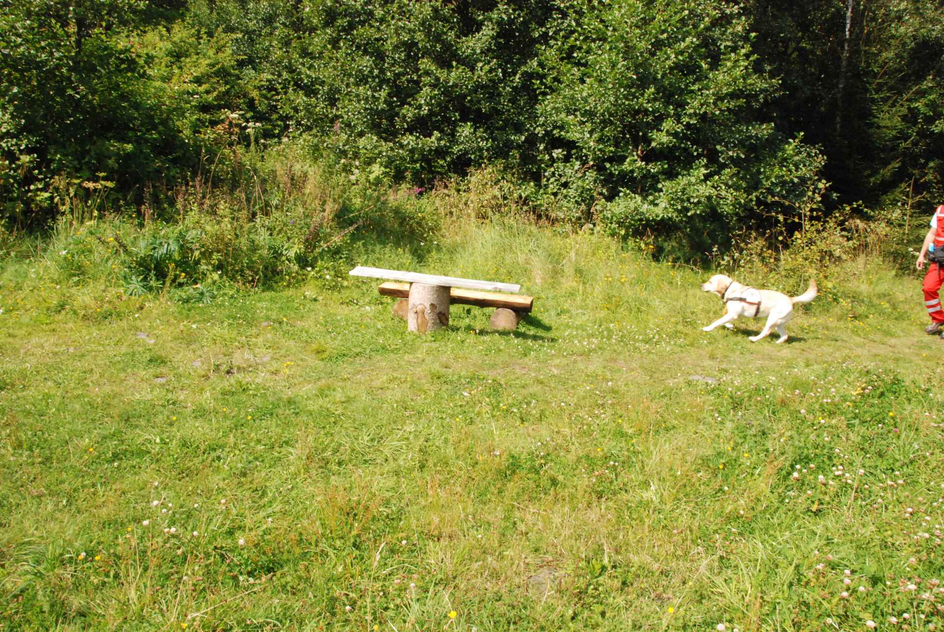 2009-08-23_ntb_6930