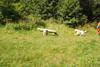 2009-08-23_ntb_6930