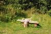 2009-08-23_ntb_6931