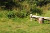 2009-08-23_ntb_6932