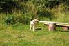 2009-08-23_ntb_6933