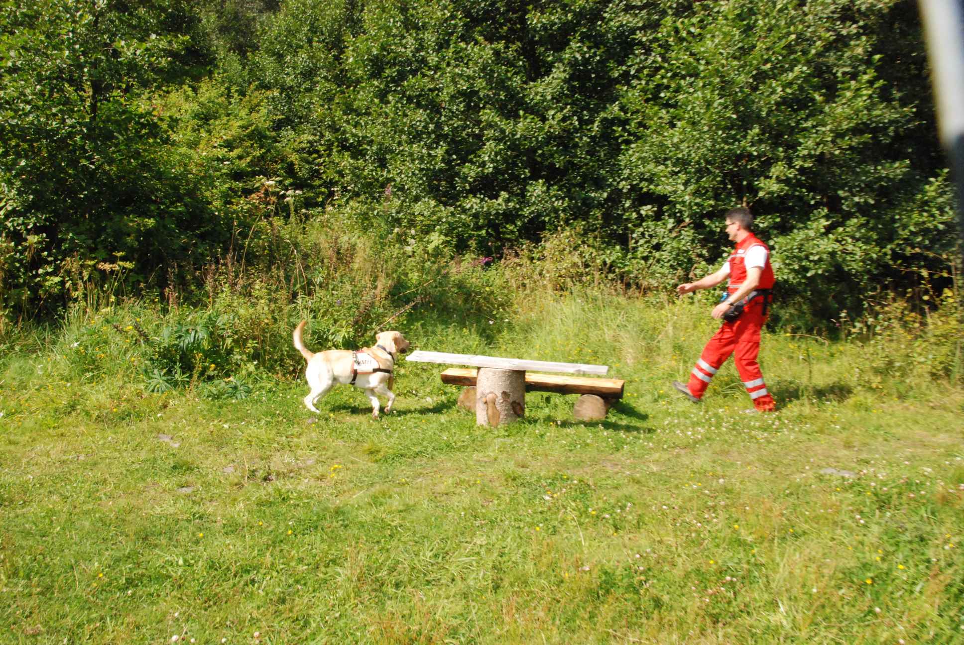 2009-08-23_ntb_6934