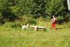 2009-08-23_ntb_6934