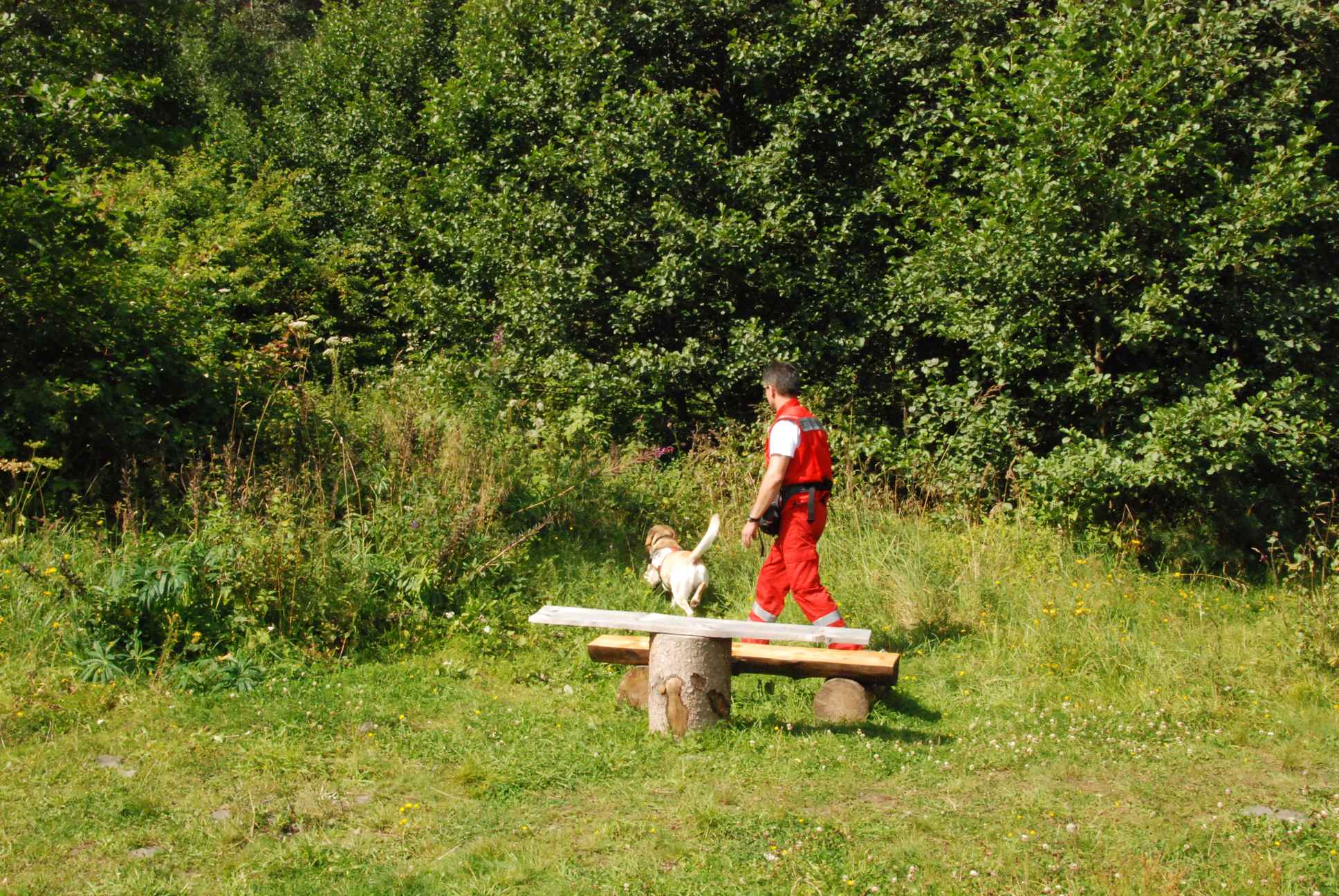 2009-08-23_ntb_6937