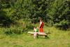 2009-08-23_ntb_6937