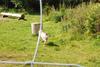 2009-08-23_ntb_6938