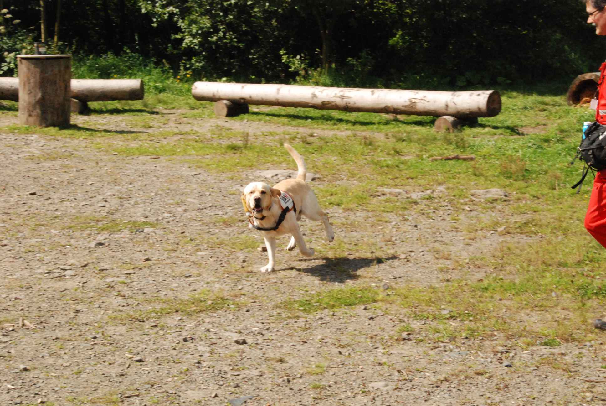2009-08-23_ntb_6939