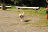 2009-08-23_ntb_6939