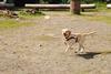 2009-08-23_ntb_6940