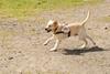 2009-08-23_ntb_6941