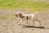 2009-08-23_ntb_6942