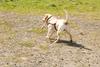 2009-08-23_ntb_6943