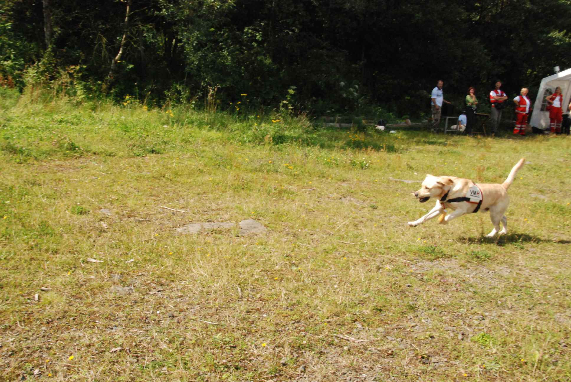 2009-08-23_ntb_6944