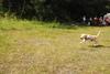 2009-08-23_ntb_6944