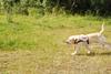 2009-08-23_ntb_6945