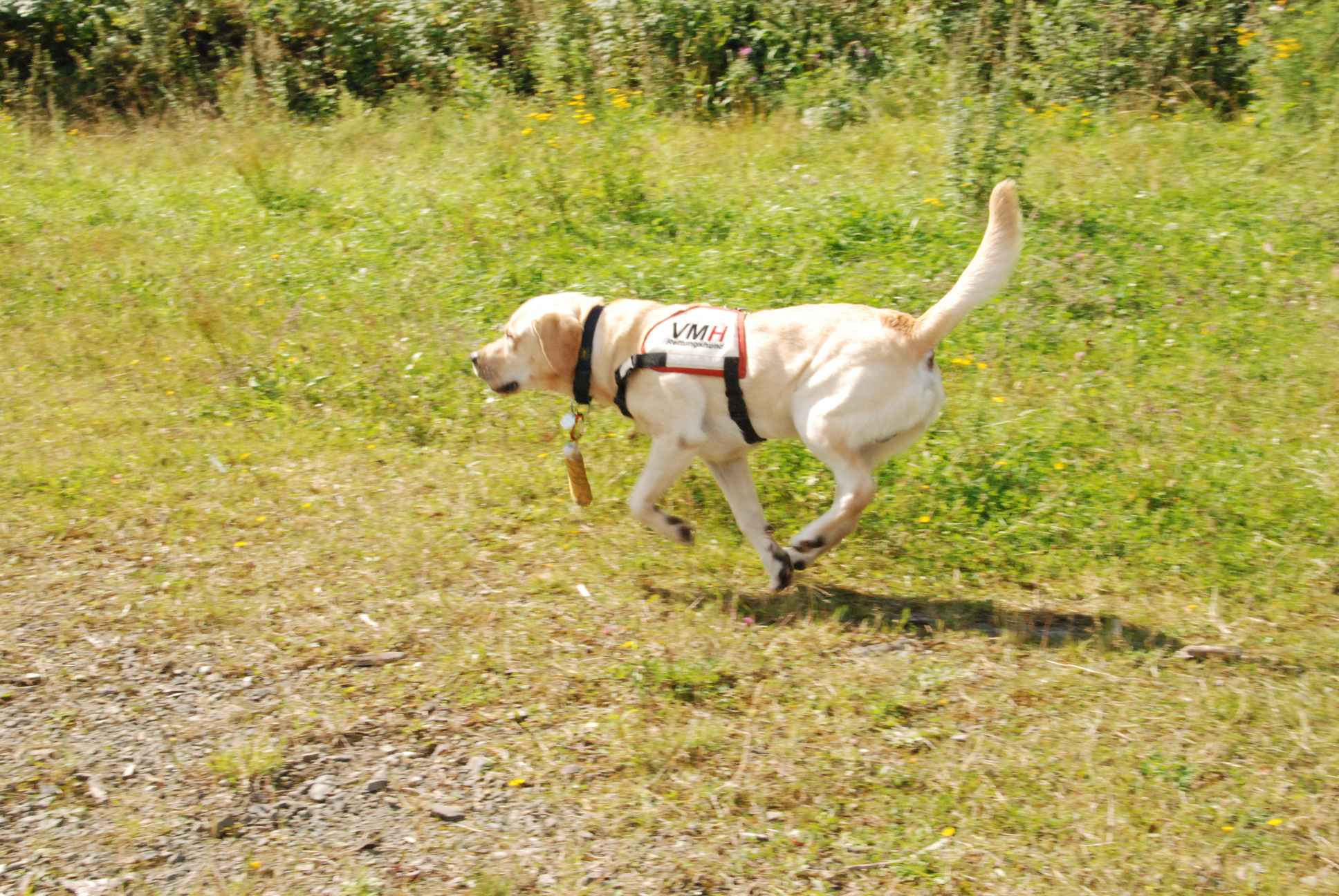 2009-08-23_ntb_6946