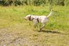 2009-08-23_ntb_6946