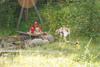 2009-08-23_ntb_6947