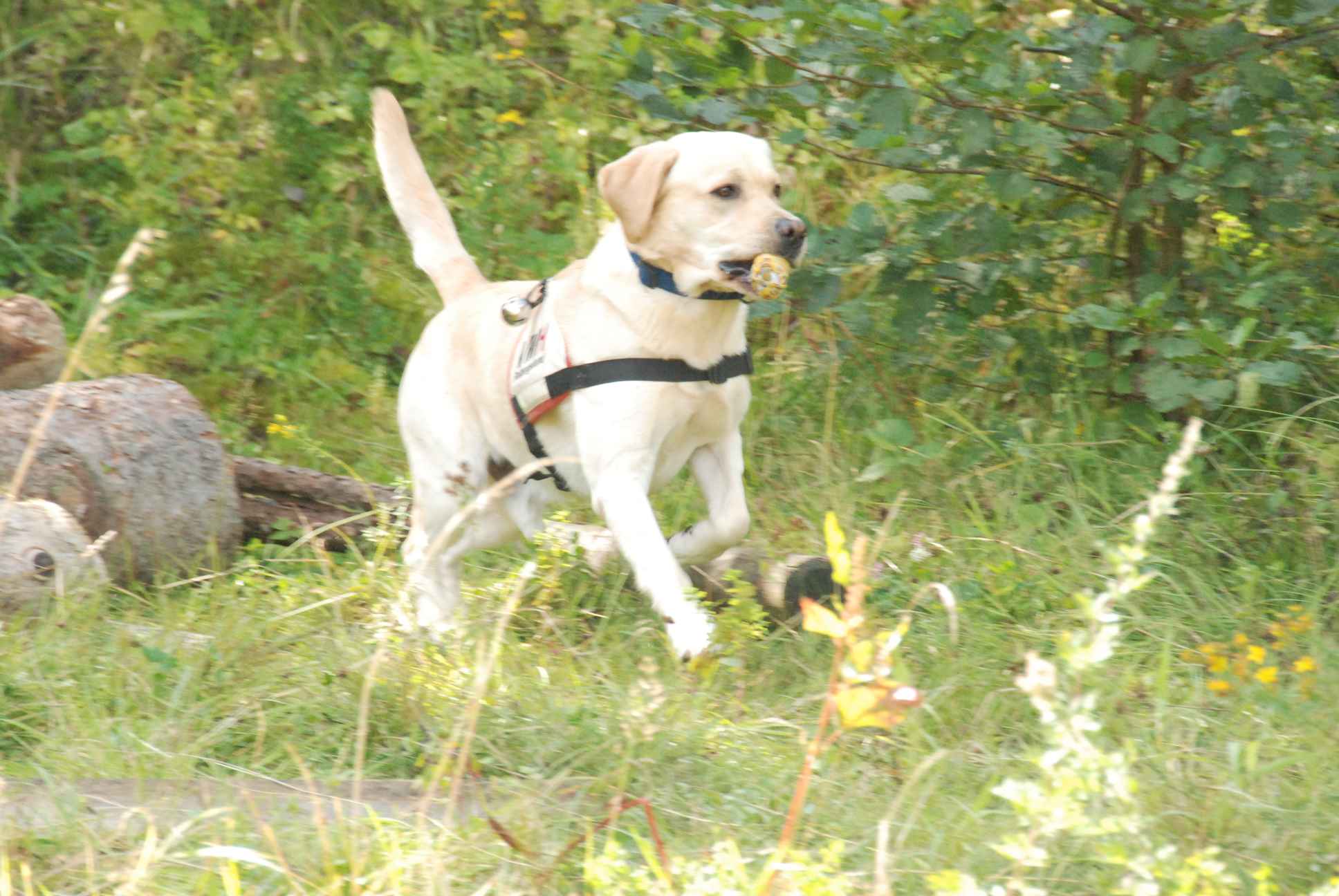 2009-08-23_ntb_6954