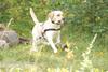 2009-08-23_ntb_6954
