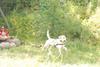 2009-08-23_ntb_6955