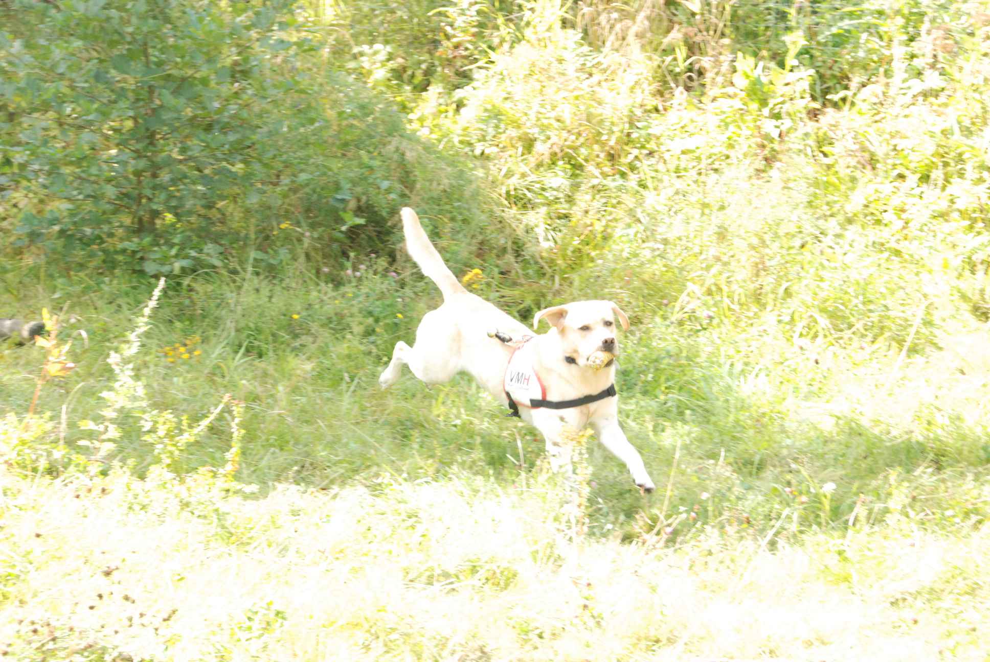 2009-08-23_ntb_6956