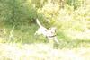 2009-08-23_ntb_6956