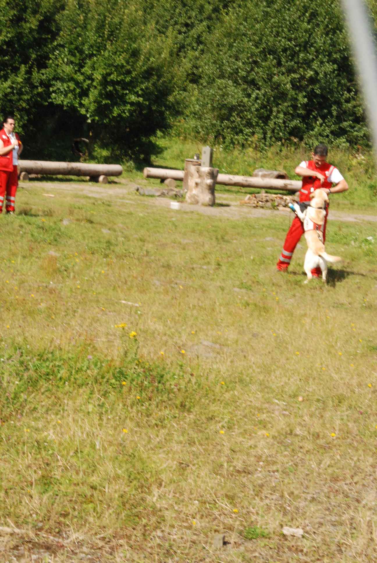 2009-08-23_ntb_6967