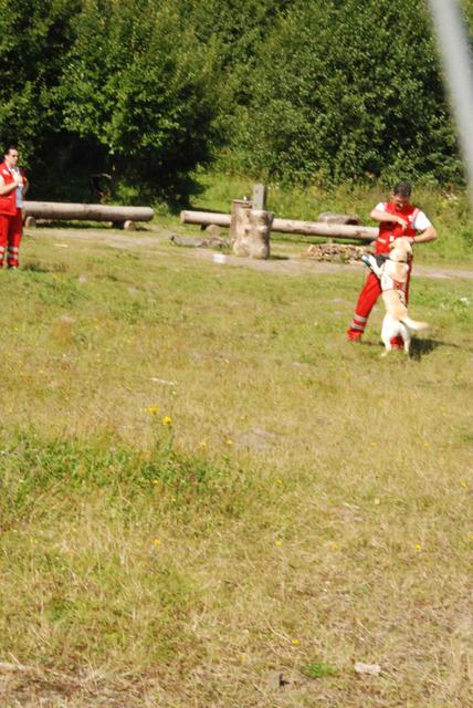 2009-08-23_ntb_6967