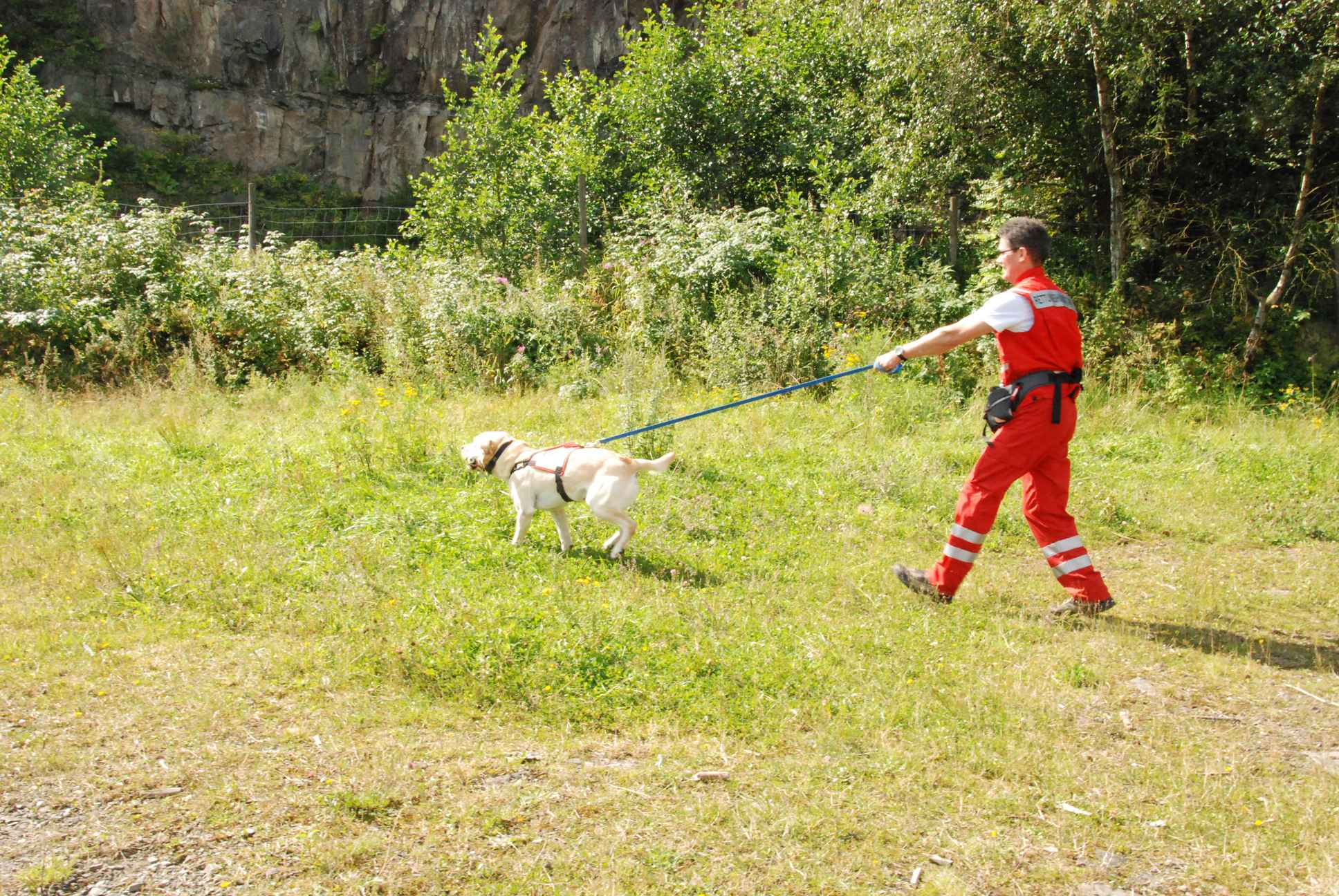 2009-08-23_ntb_6972