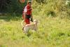 2009-08-23_ntb_6985