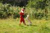 2009-08-23_ntb_6991