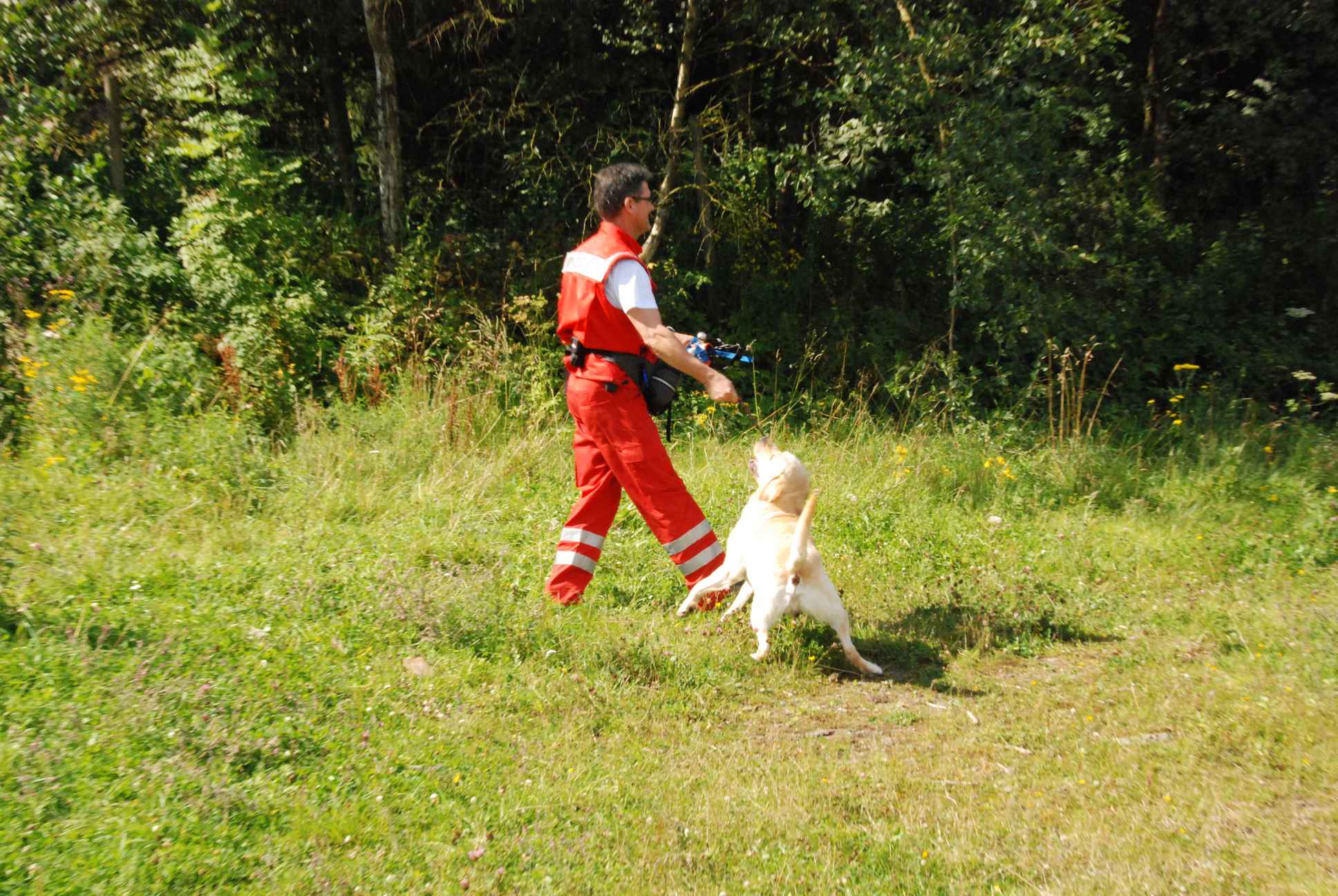 2009-08-23_ntb_7001