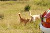 2009-08-23_ntb_7004