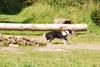 2009-08-23_ntb_7006