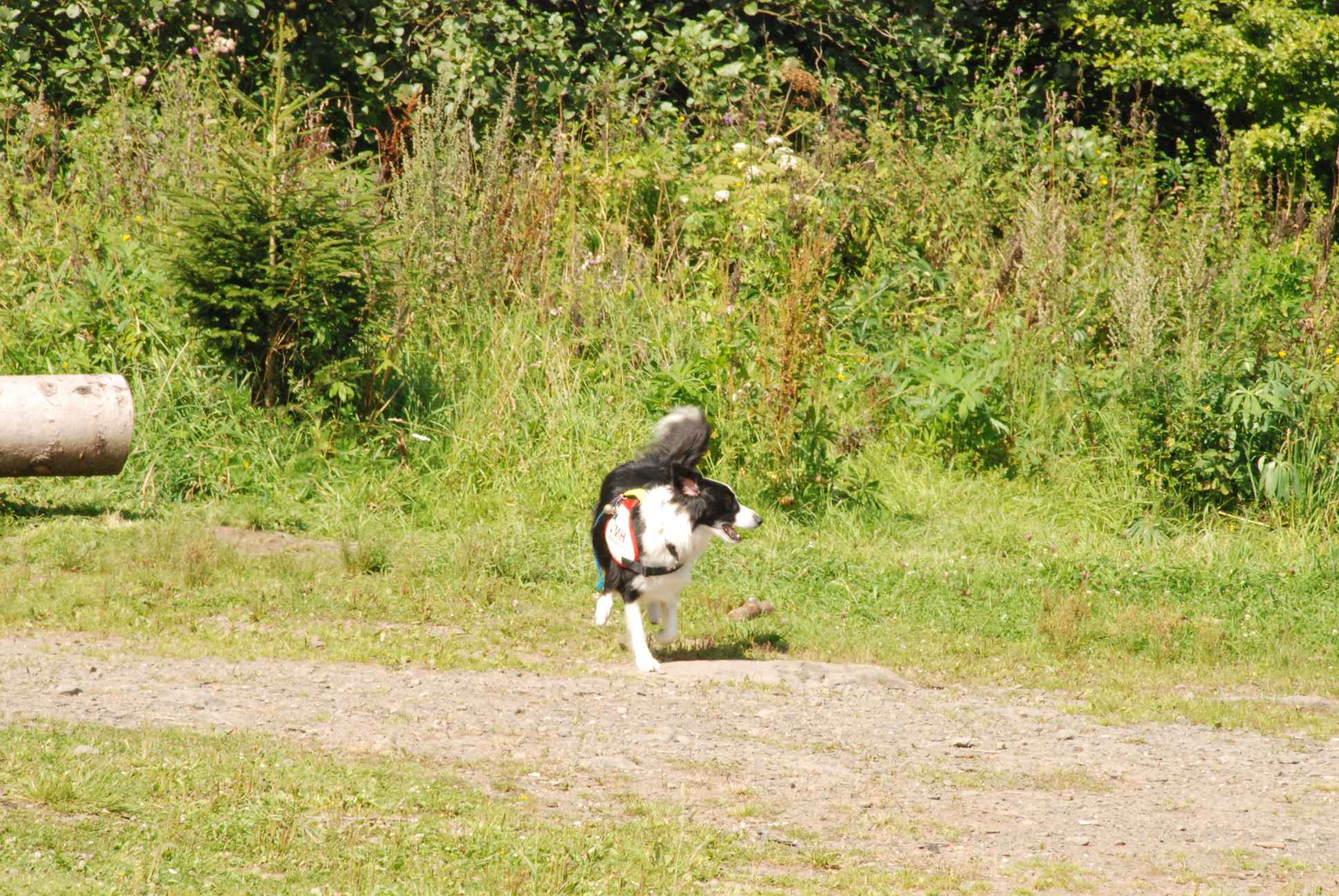 2009-08-23_ntb_7007