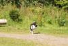 2009-08-23_ntb_7007
