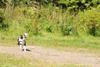 2009-08-23_ntb_7008